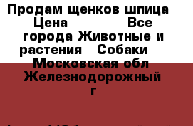 Продам щенков шпица › Цена ­ 20 000 - Все города Животные и растения » Собаки   . Московская обл.,Железнодорожный г.